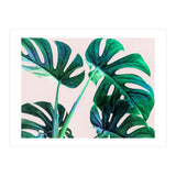 Wild Leaves (Print Only) thumbnail