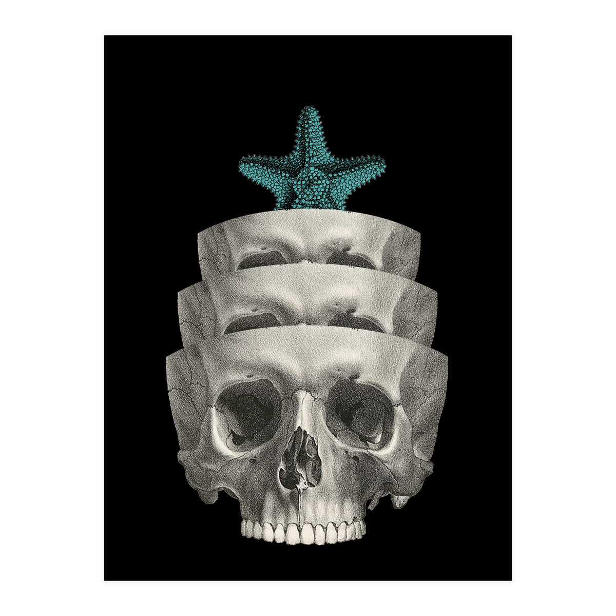 teschio (Print Only)