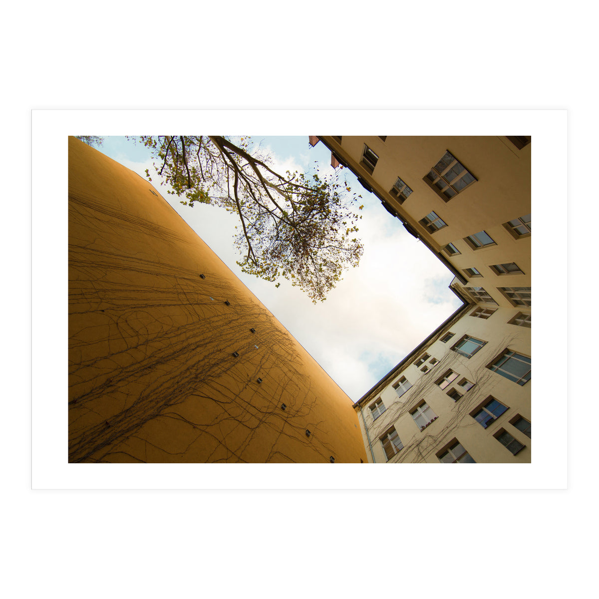 Hinterhof 74 (Print Only)