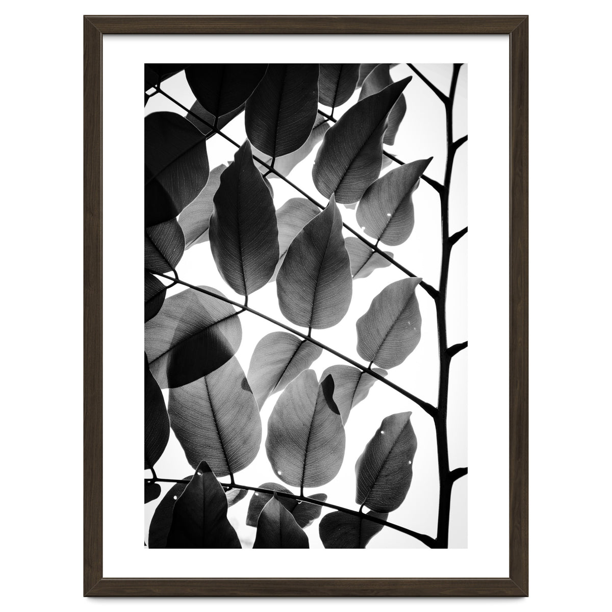 Branches and Leaves II