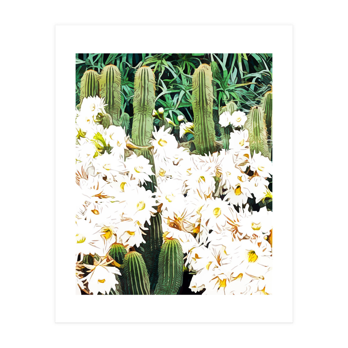 Cactus & Bloom (Print Only)