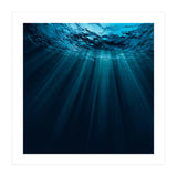 Nature (Print Only) thumbnail