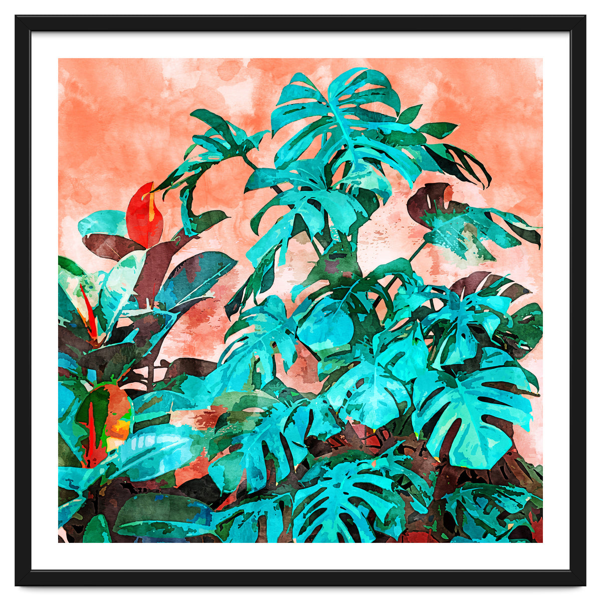 Monstera In My Backyard