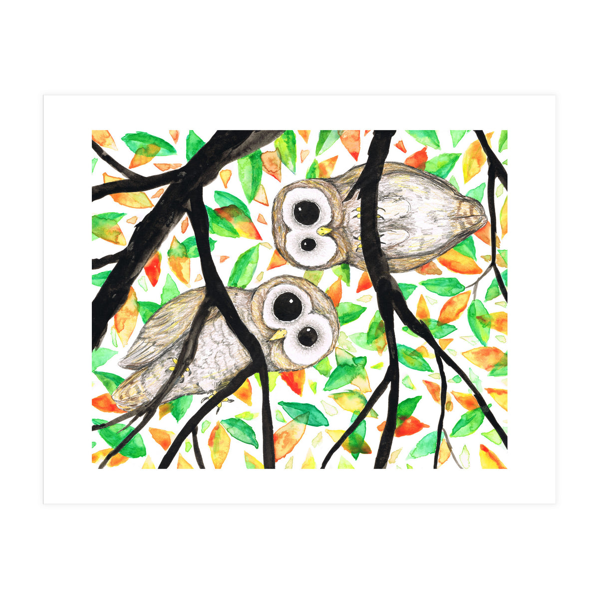 Two curious owls (Print Only)