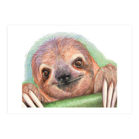 Smiling Sloth (Print Only)