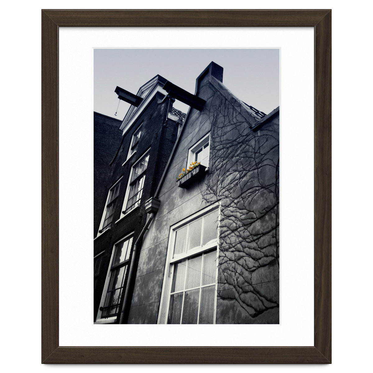 Amsterdam. House With Yellow Flowers.