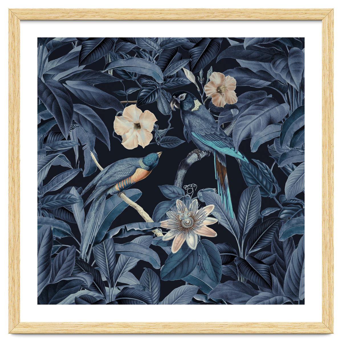 Exotic Jungle Birds At Night