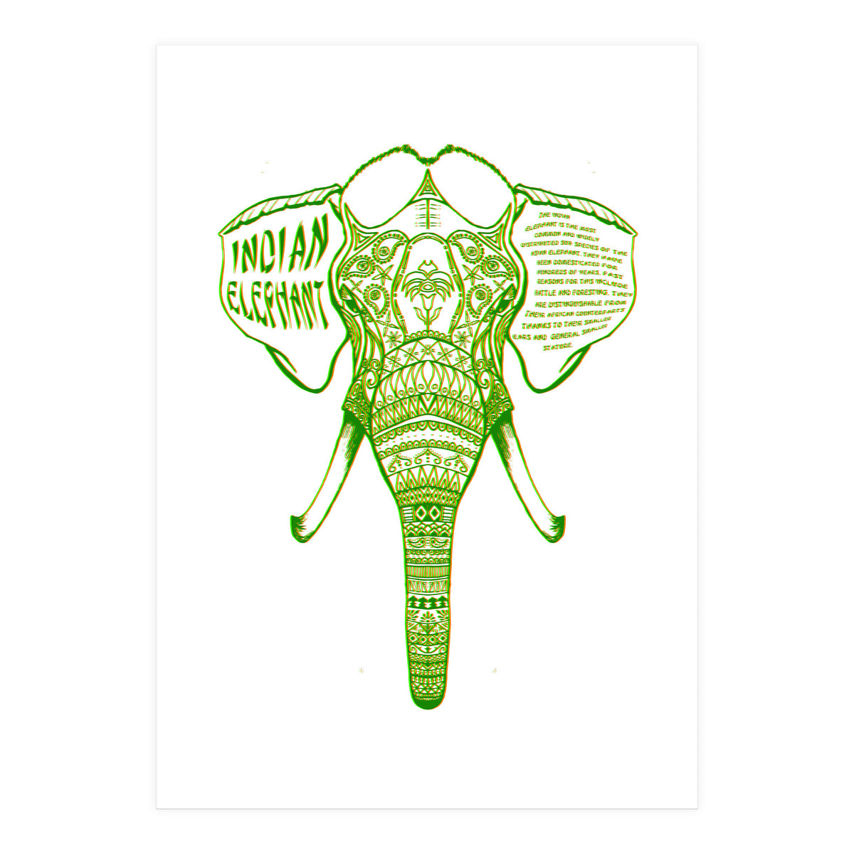 Indian Elephant (Print Only)