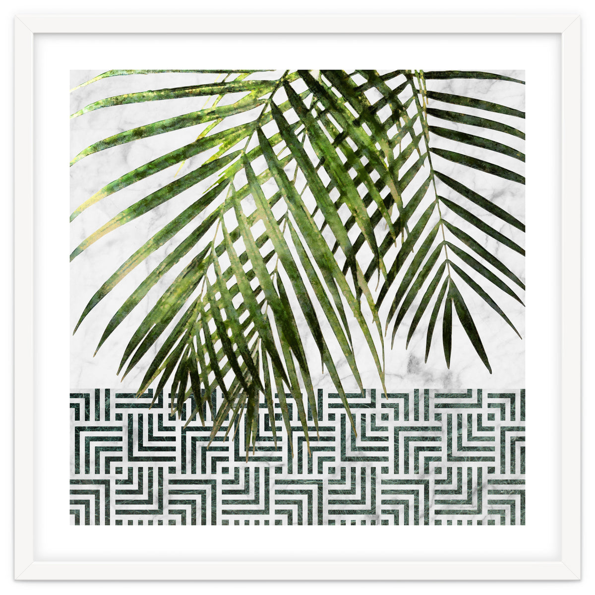 Palm Leaves On White Marble And Tiles