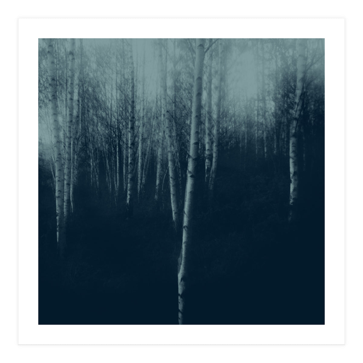 deep veins I (Print Only)