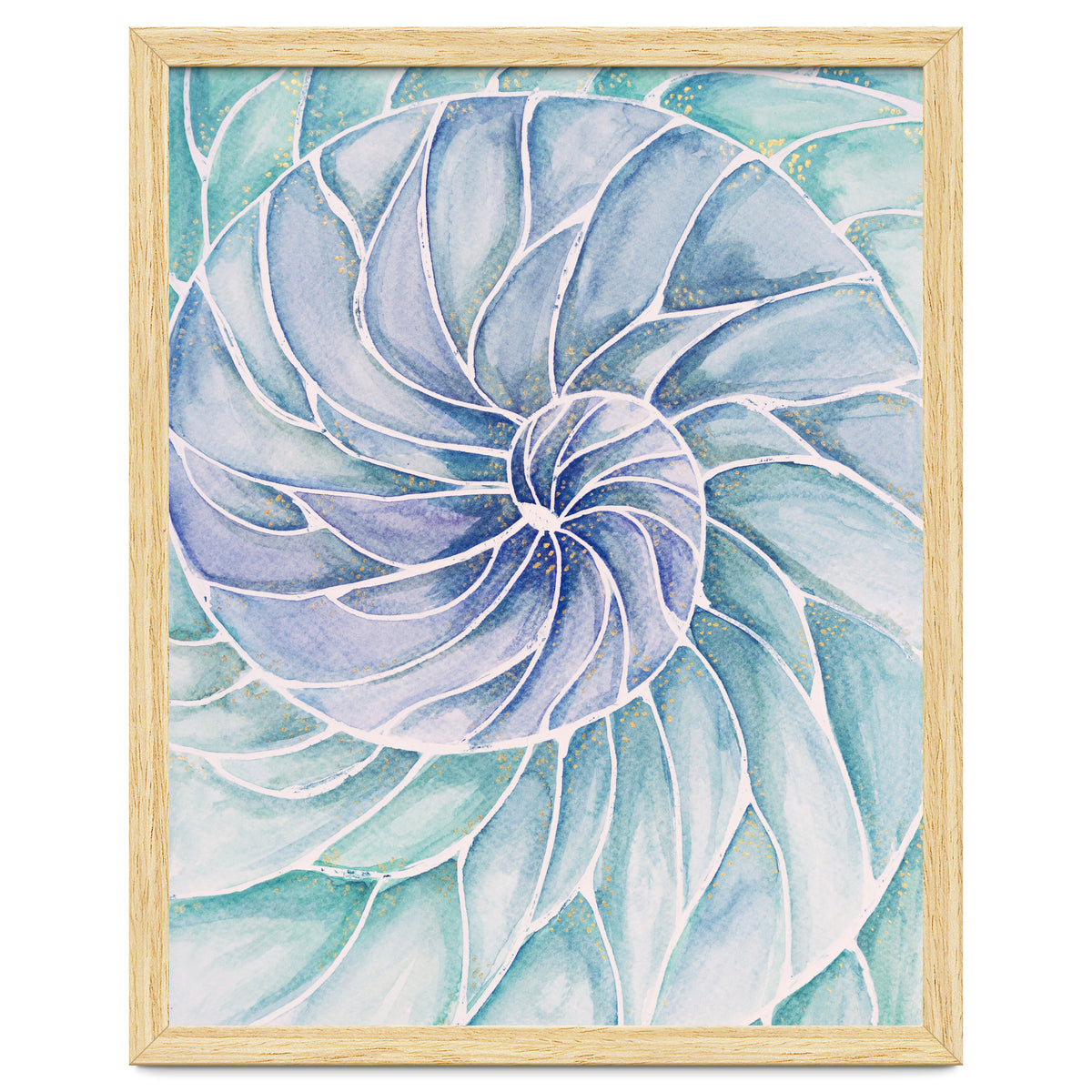 The inside of a shell