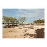 Yucatan beach (Print Only) thumbnail