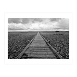 Dungeness, England (Print Only) thumbnail