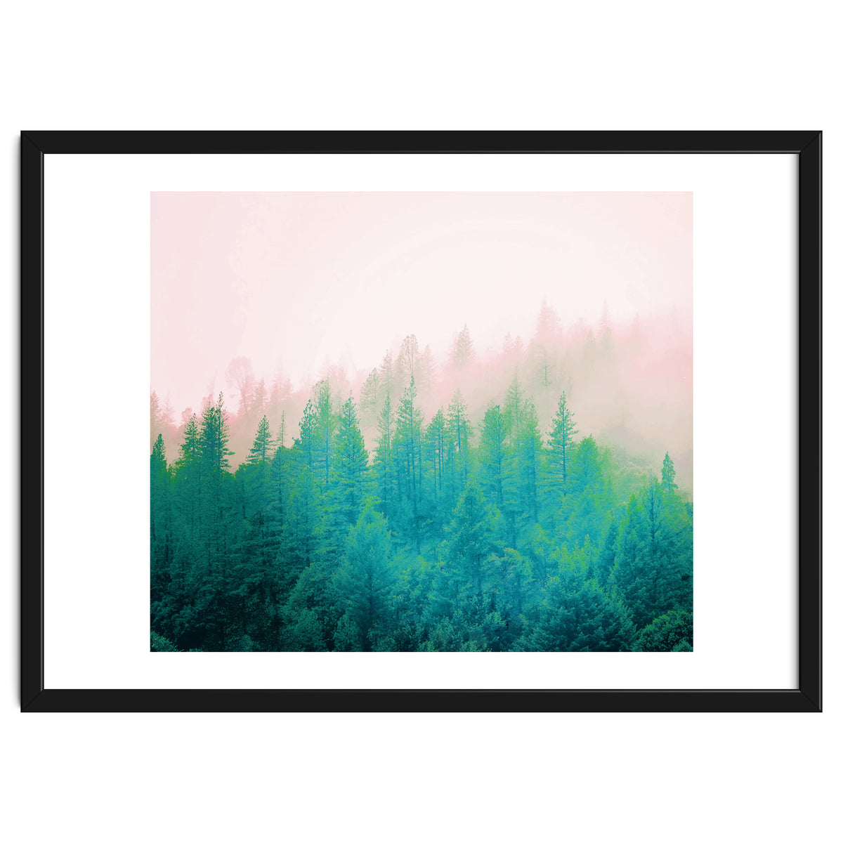 Forest Fog V2