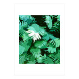 Tranquil Forest (Print Only) thumbnail