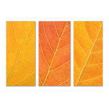 Autumn Leaves (Print Only) thumbnail