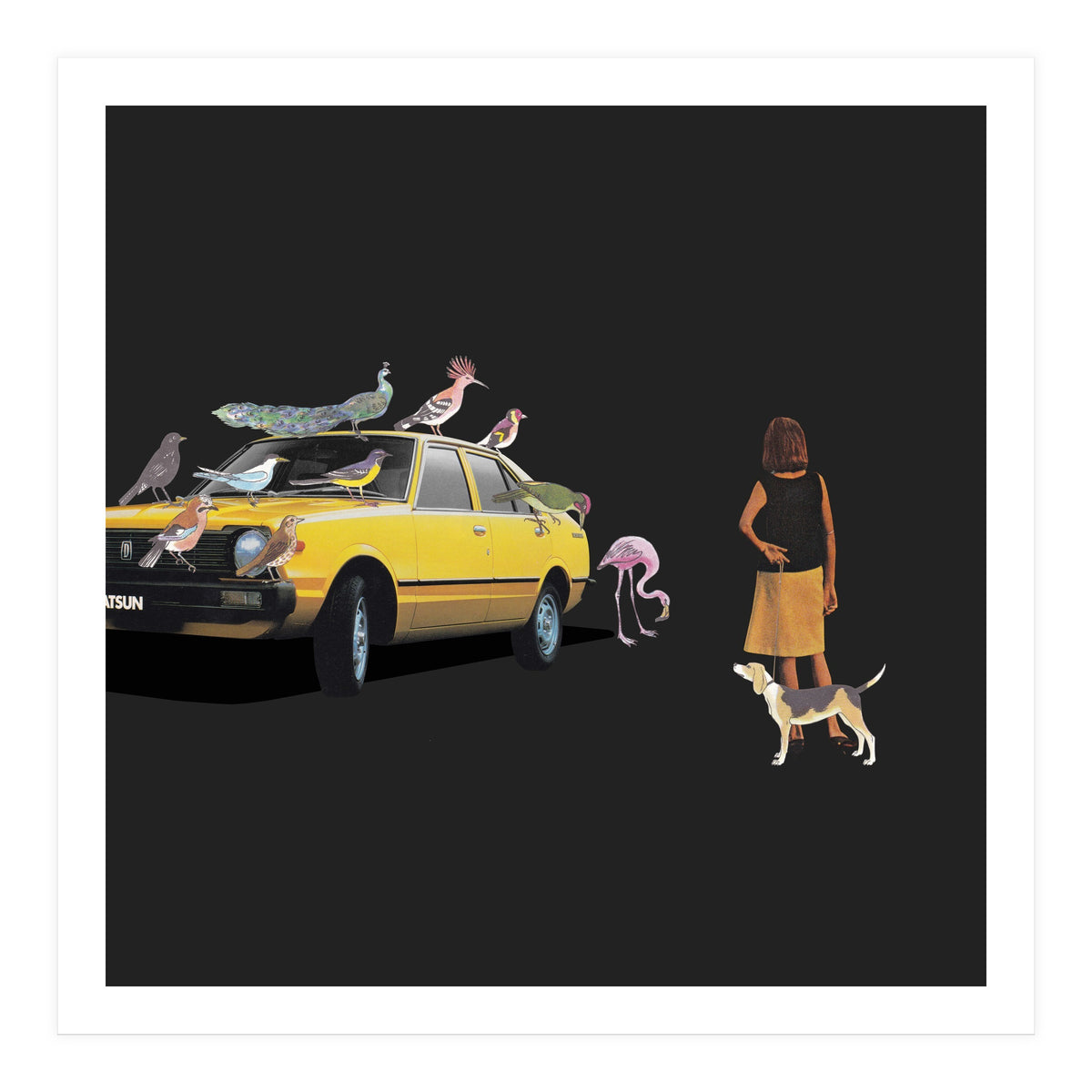 Bird Gang (Print Only)