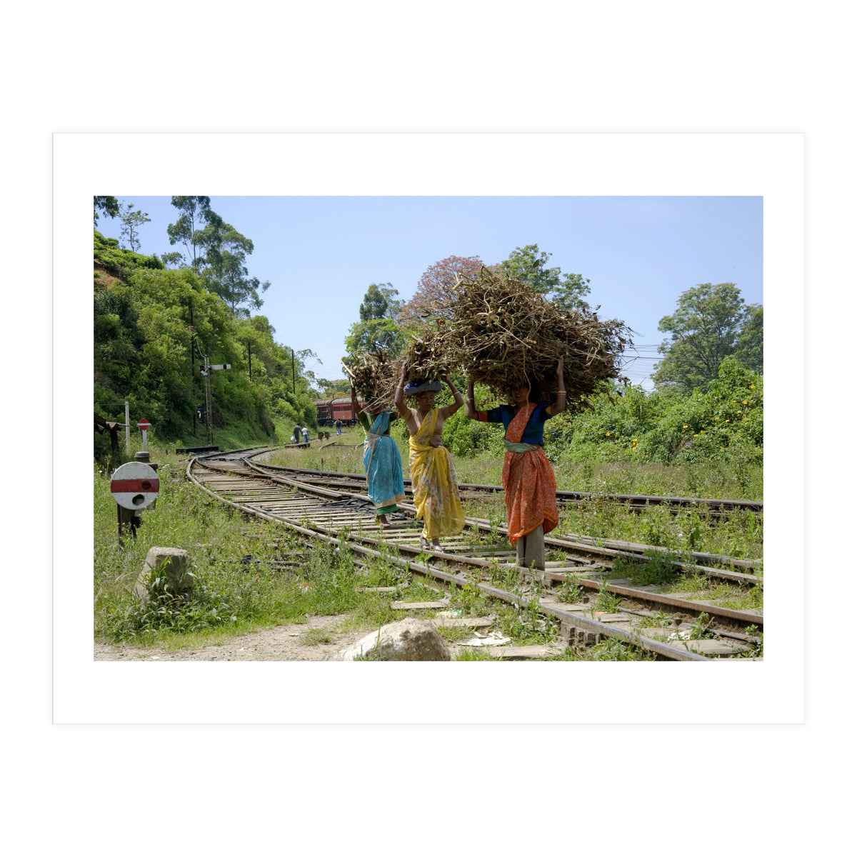 Nuwara Eliya, Sri Lanka (Print Only)