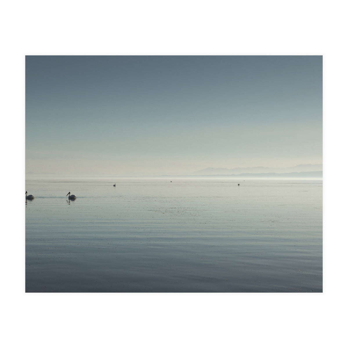 The Salton Sea (Print Only)