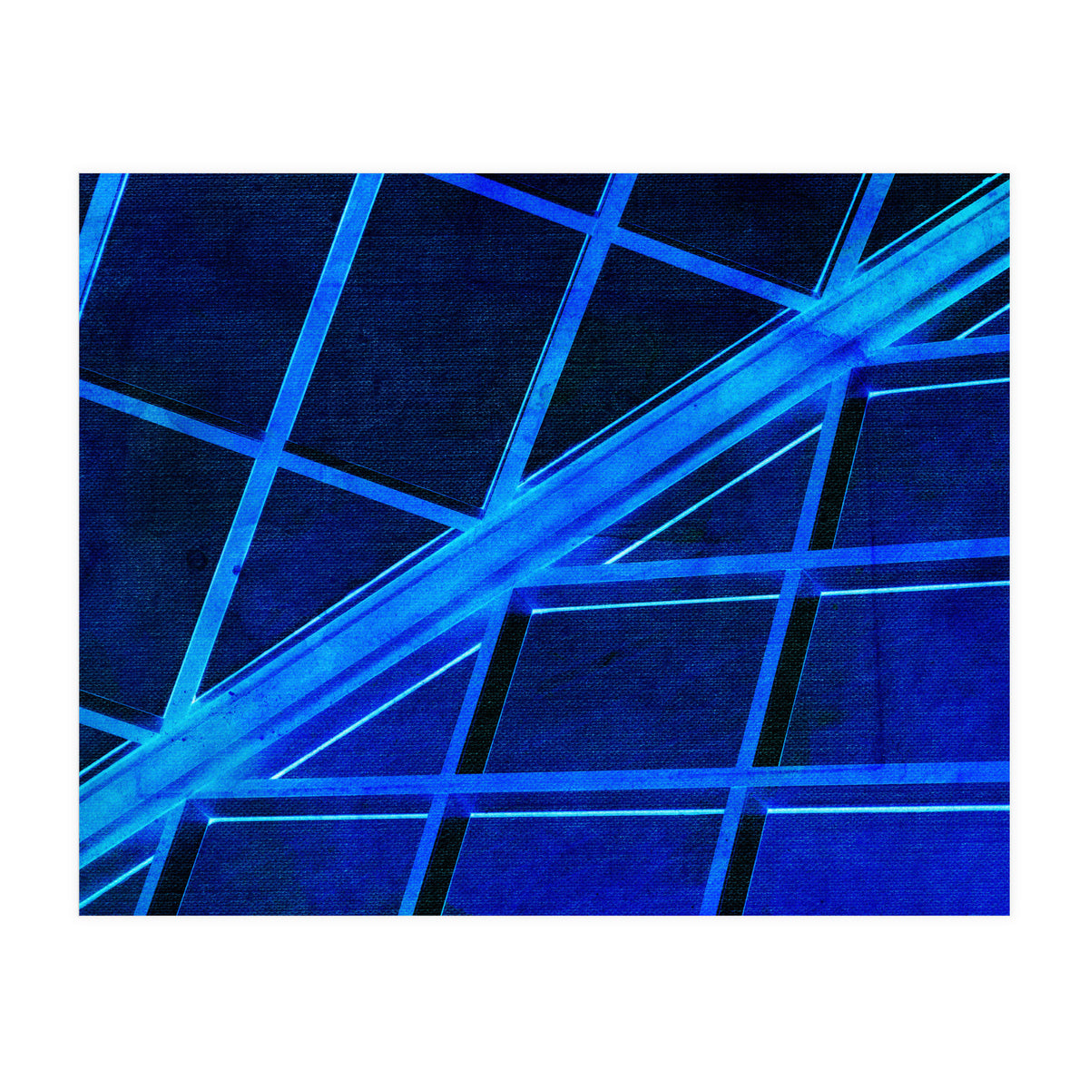 WTnight  (Print Only)