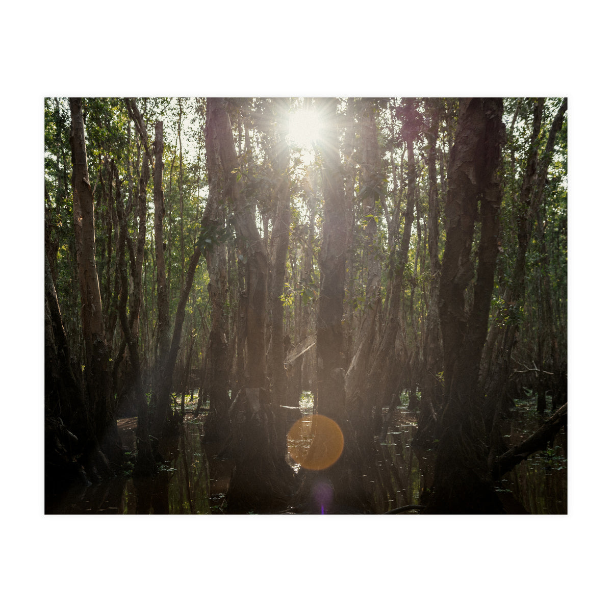 Morning in Vietnam (Print Only)