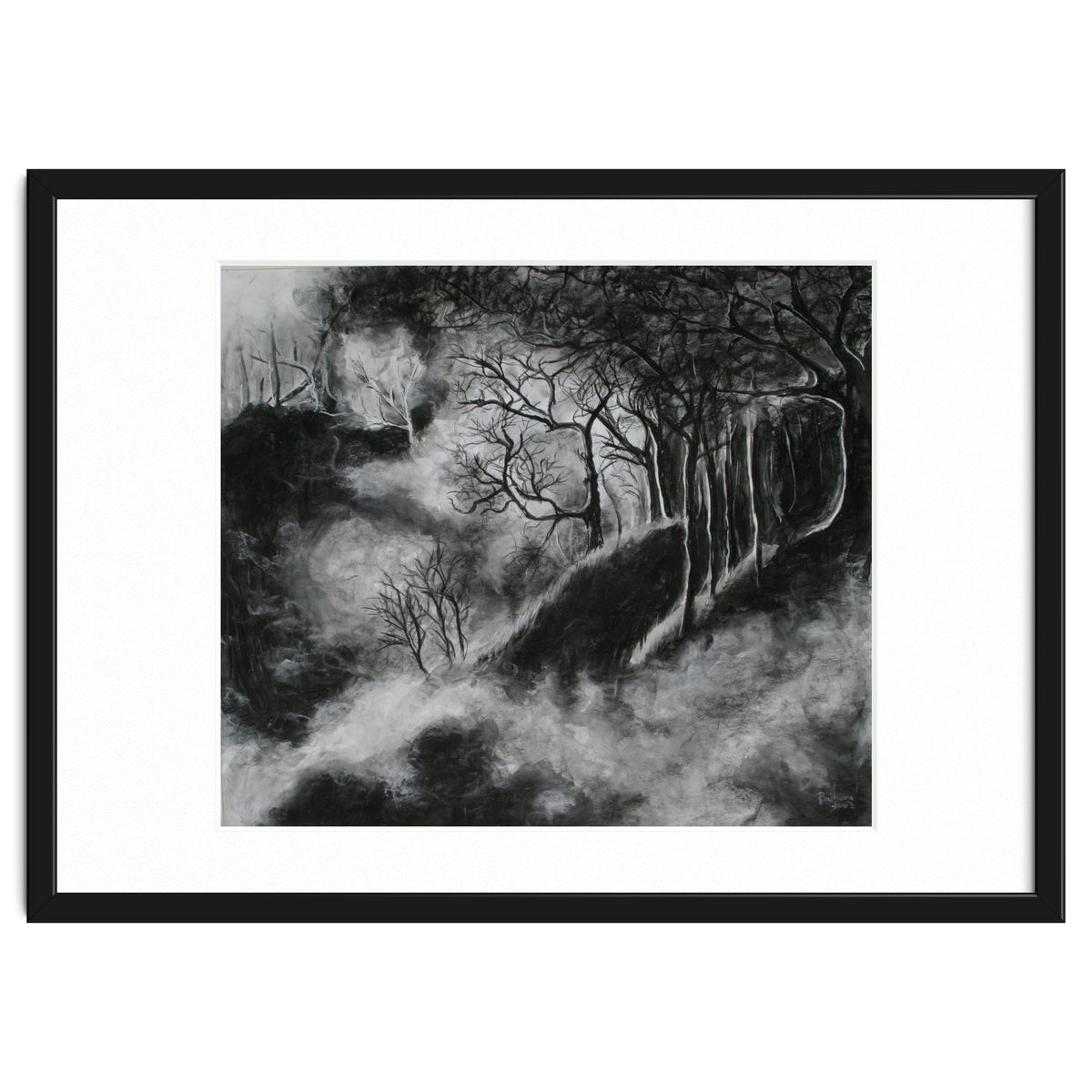 Black and White Forest in Clouds