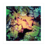 Bathe (Print Only) thumbnail