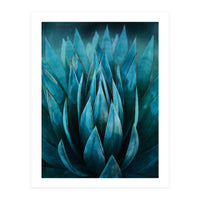 Blue Succulent (Print Only)