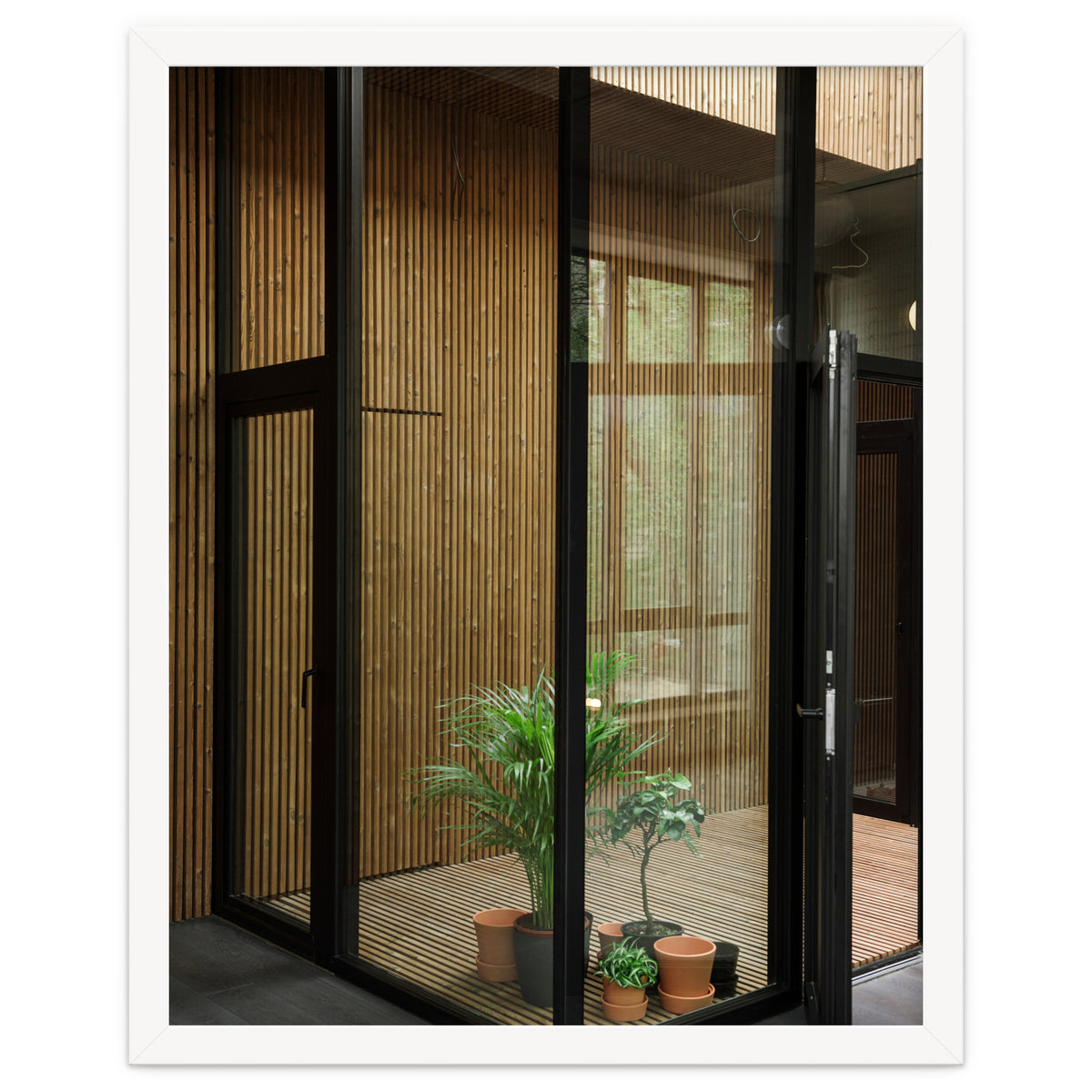 Public Place at my House