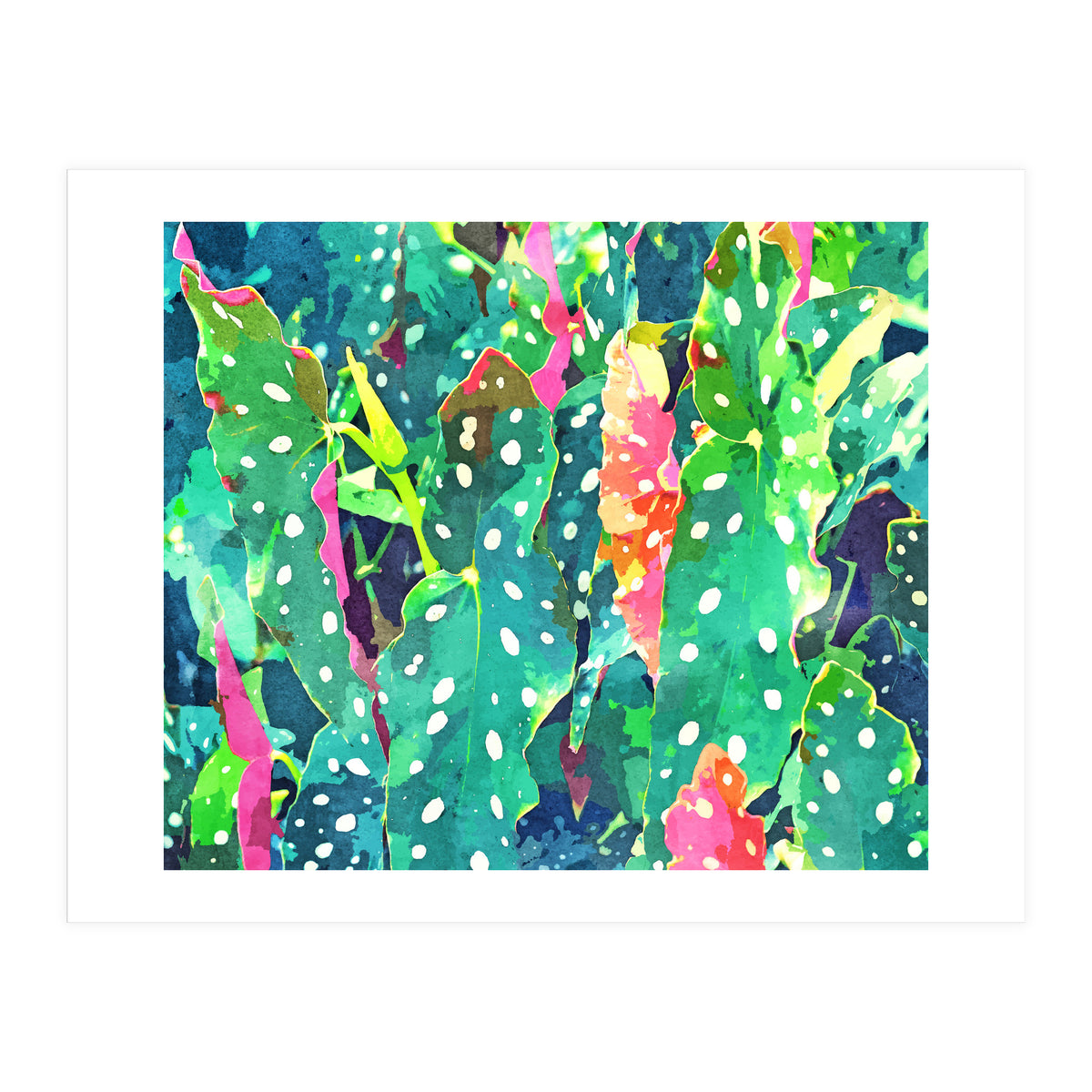 The Polka Dots Plant (Print Only)