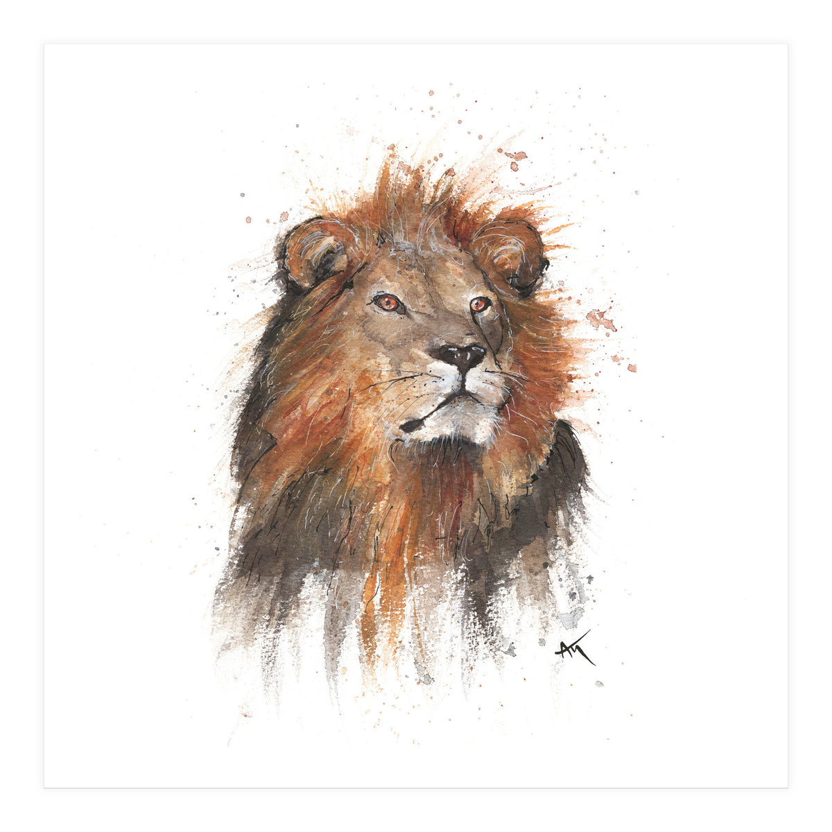 Lion - Wildlife Collection (Print Only)