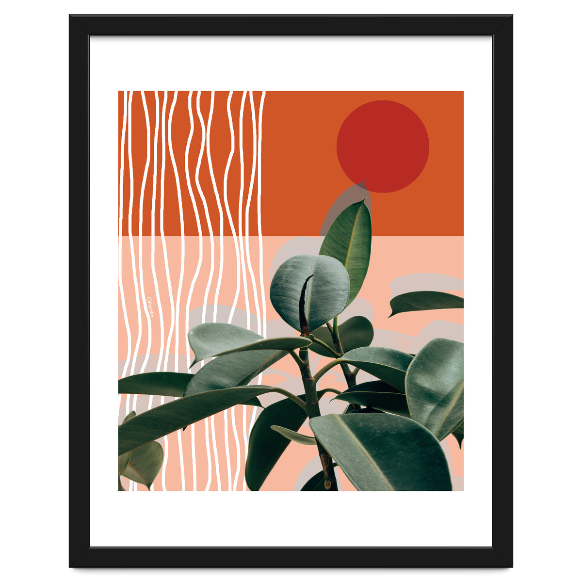 Times of a Growing Plant