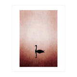 The Swan (Print Only) thumbnail