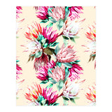 King proteas bloom II (Print Only) thumbnail