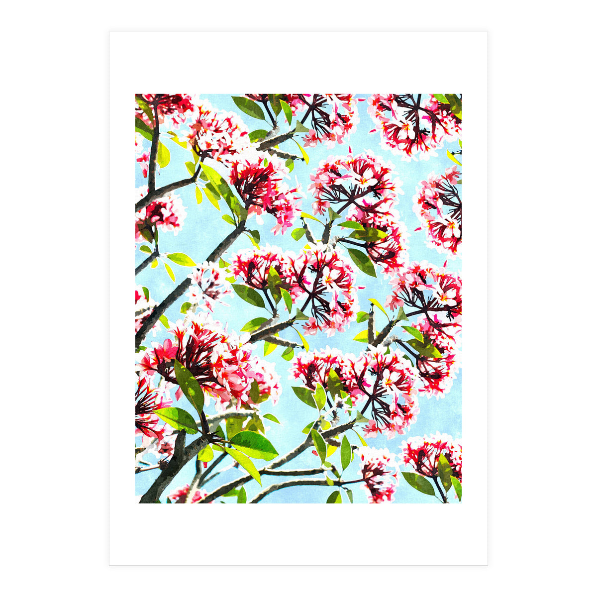 Frangipani (Print Only)