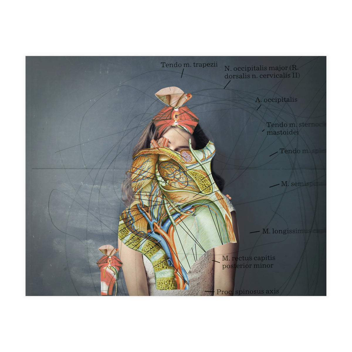 Crazy Woman 204 (Print Only)