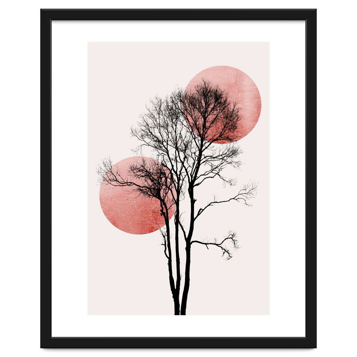 Sun And Moon Hiding Rosè