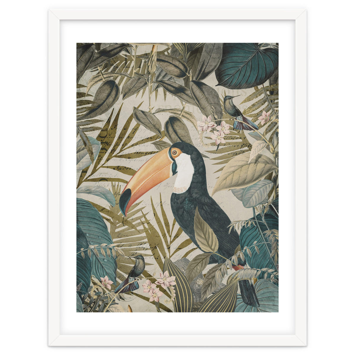 Jungle Toucan