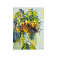 Sunflower Art. Sunny day sunflowers Art (Print Only)