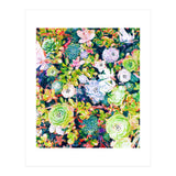 Watercolor Succulents (Print Only) thumbnail