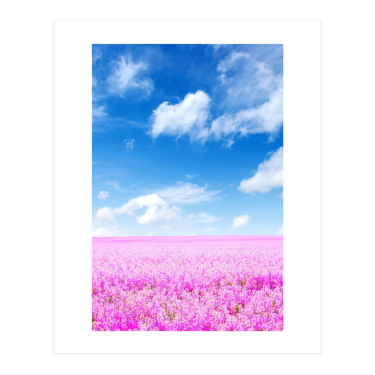 Nature (Print Only)