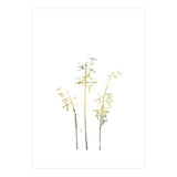 Neutral Hosta (Print Only) thumbnail