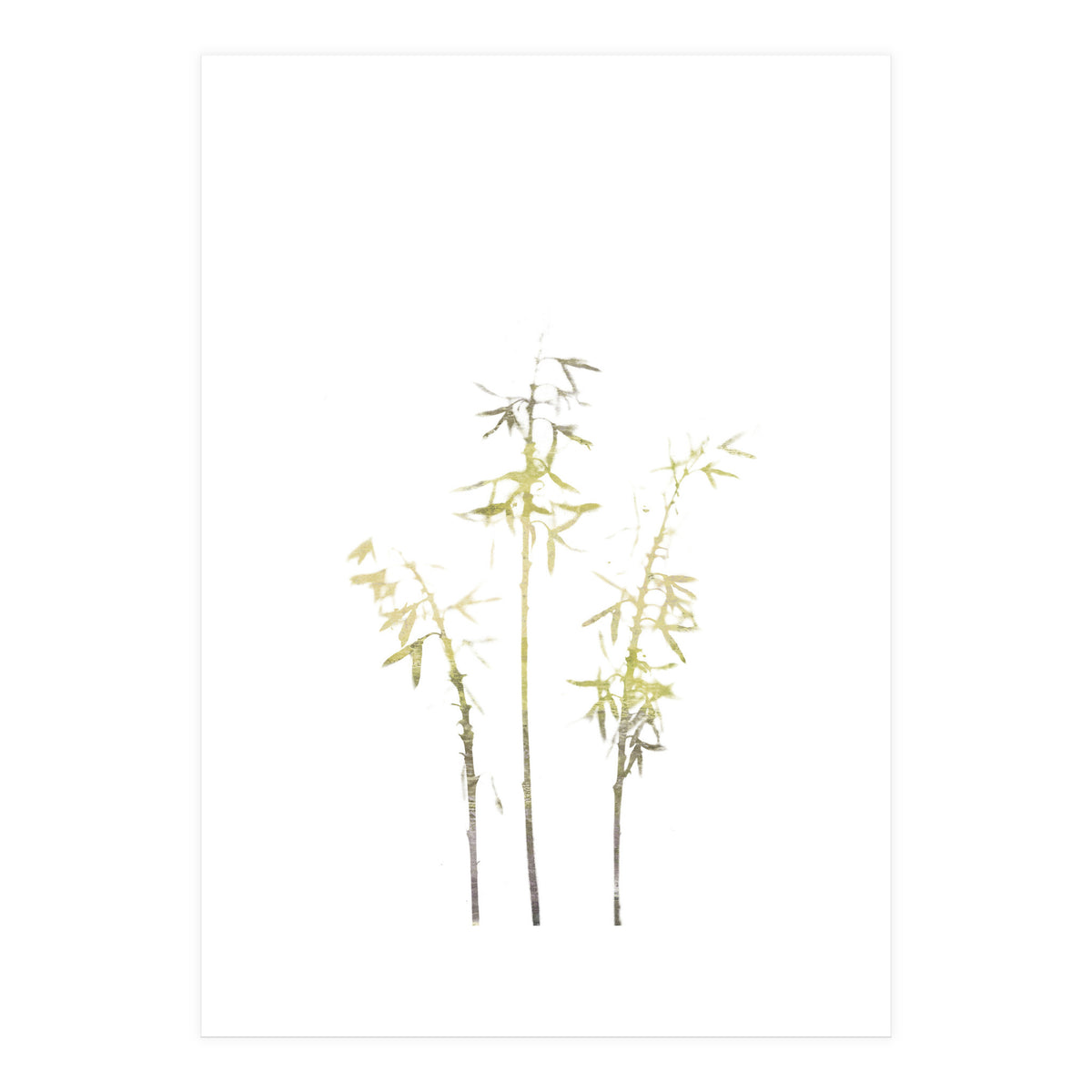 Neutral Hosta (Print Only)