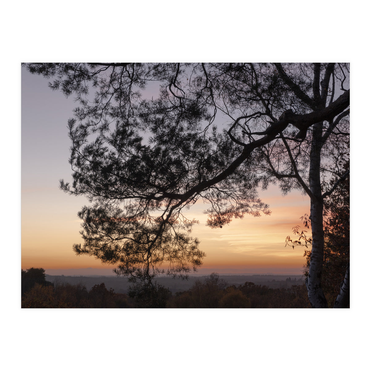 Sunset on Finchampstead Ridges - Berkshire (Print Only)