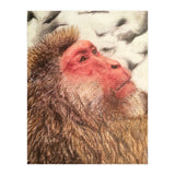 Japanese Macaque At The Onsen (Print Only) thumbnail