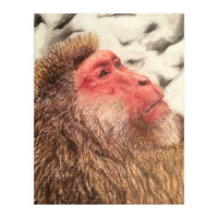 Japanese Macaque At The Onsen (Print Only)