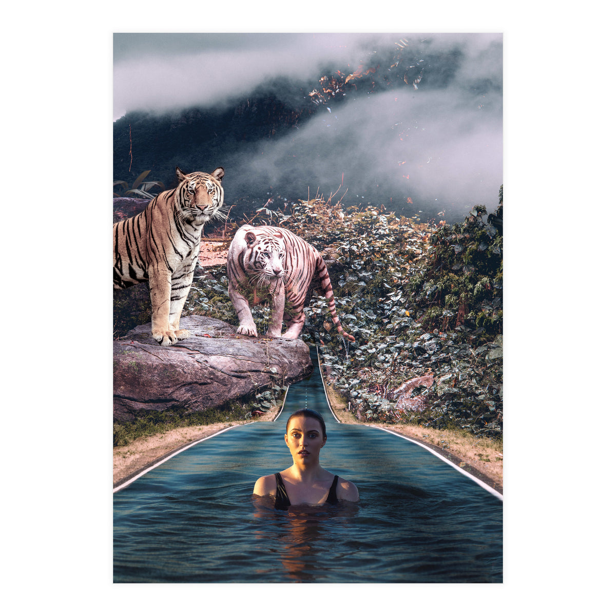 Infinite Pool To Tiger Jungle (Print Only)