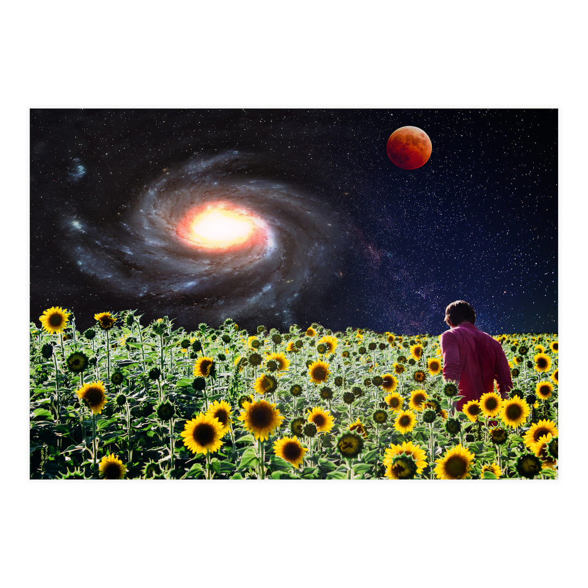 Likakiku  (Print Only)