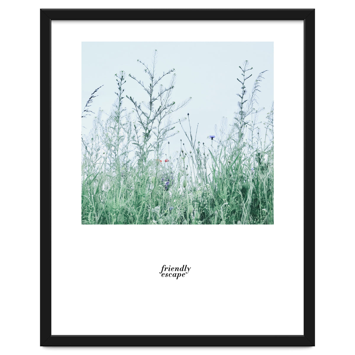 Friendly escape - Nature Photography -