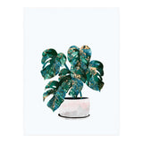 Swiss Cheese Monstera Plant Gold and Green (Print Only) thumbnail